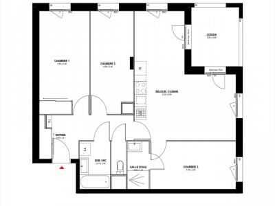 Acheter Appartement 78 m2 Rochetaillee-sur-saone