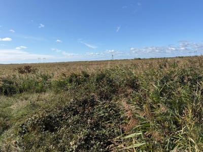 Acheter Terrain 32767 m2 Braud-et-saint-louis