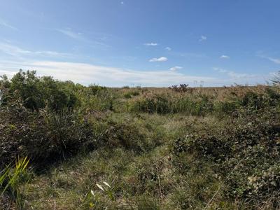 Acheter Terrain Braud-et-saint-louis Gironde