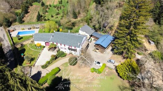 For sale Carcassonne 11 rooms 490 m2 Aude (11000) photo 0