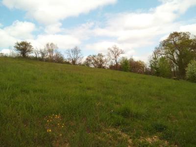 For sale Ceran 2524 m2 Gers (32500) photo 4