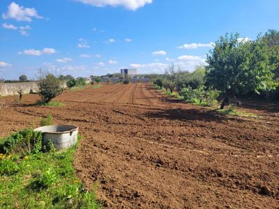 Annonce Vente Terrain Saint-martin-de-fraigneau 85