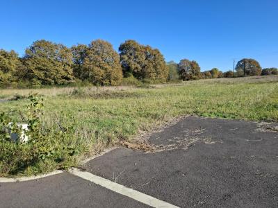 Annonce Vente Terrain Bougue 40