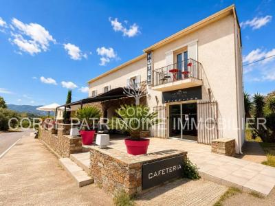 For sale Patrimonio 822 m2 Corse (20253) photo 1