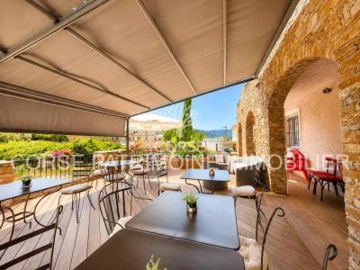 For sale Patrimonio 822 m2 Corse (20253) photo 4