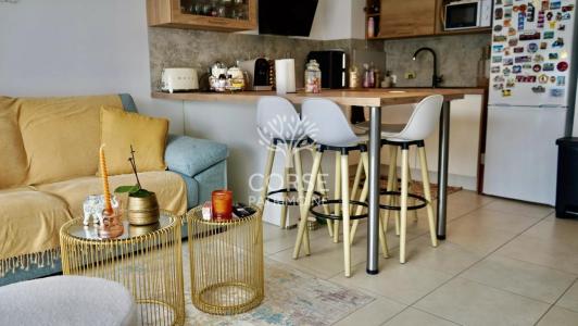 Annonce Vente 2 pi�ces Appartement Lucciana 20