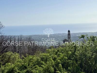 For sale Sant'andrea-di-cotone 5 rooms 75 m2 Corse (20221) photo 0