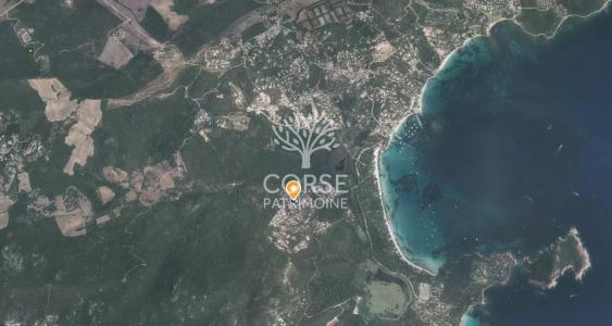 For sale Sainte-lucie-de-porto-vecchio 1020 m2 Corse (20144) photo 1
