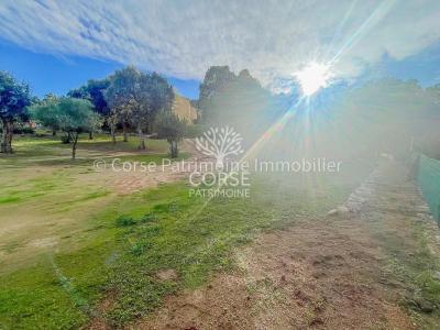For sale Sainte-lucie-de-porto-vecchio 1020 m2 Corse (20144) photo 3