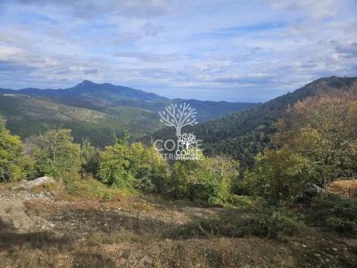 For sale Pietraserena 704 m2 Corse (20251) photo 2