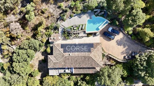 Acheter Maison 220 m2 Porto-vecchio