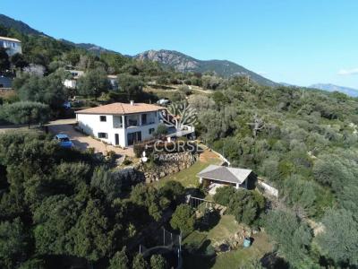 For sale Sotta 7 rooms 203 m2 Corse (20146) photo 0