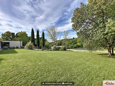 Acheter Prestige Vieille-toulouse Haute garonne