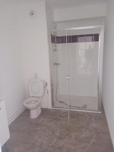 Annonce Location Appartement Lievin 62