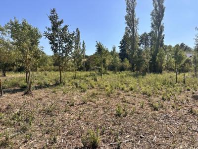 For sale Aix-en-provence 650 m2 Bouches du Rhone (13090) photo 4
