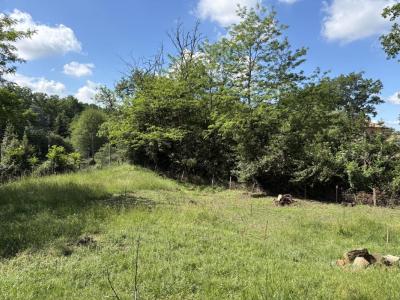 For sale Lignan-de-bordeaux 1001 m2 Gironde (33360) photo 4
