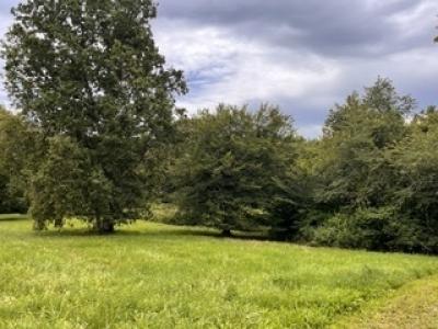For sale Lignan-de-bordeaux 800 m2 Gironde (33360) photo 2
