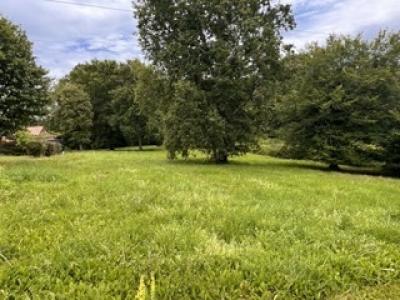 For sale Lignan-de-bordeaux 800 m2 Gironde (33360) photo 3