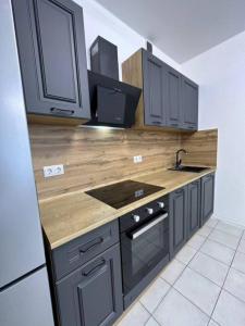 Annonce Location 2 pi�ces Appartement Lyon-4eme-arrondissement 69