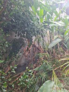 Acheter Maison Ravine-des-cabris 255000 euros