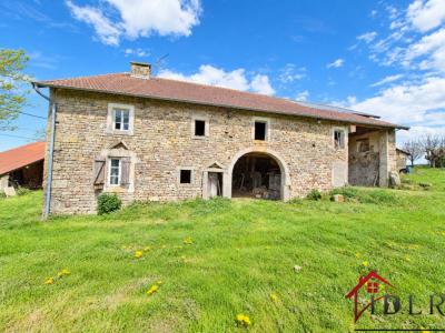 Acheter Maison 400 m2 Fougerolles