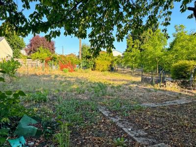 Annonce Vente Terrain Sable-sur-sarthe 72