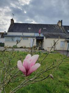 For sale Plouhinec 5 rooms 100 m2 Morbihan (56680) photo 0