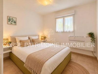 Acheter Appartement Cervione Corse
