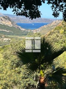 Annonce Vente 7 pi�ces Maison Barbaggio 20