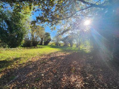 Annonce Vente 5 pi�ces Maison Pugnac 33