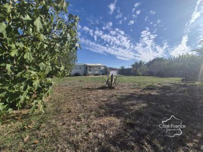 Acheter Terrain Bouin Vendee