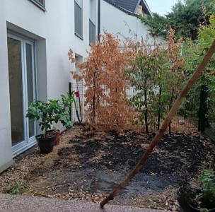 For rent Livry-gargan 3 rooms 60 m2 Seine saint denis (93190) photo 3