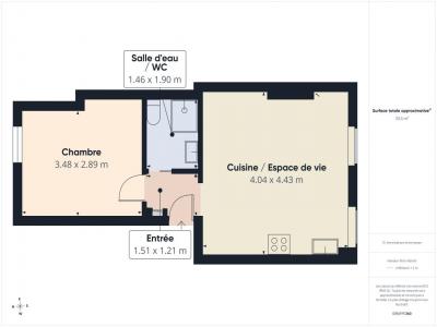 Acheter Appartement 33 m2 Vincennes