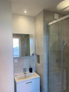 Annonce Location Appartement Villeurbanne 69