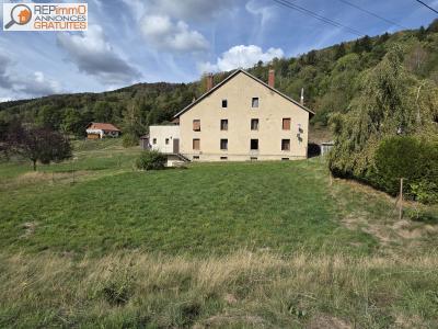 Annonce Vente Maison Bussang 88