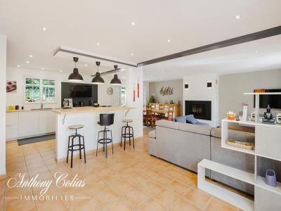 Annonce Vente 6 pi�ces Maison Marzan 56