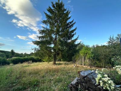 Annonce Vente 8 pi�ces Maison Brunelles 28