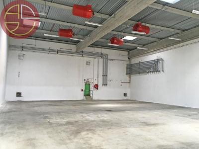 For rent Grisolles 1 room 6526 m2 Tarn et garonne (82170) photo 4