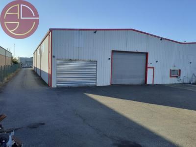 Louer Commerce 360 m2 Gratentour