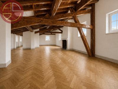 For rent Toulouse 215 m2 Haute garonne (31000) photo 2