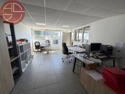 For rent Toulouse 1 room 230 m2 Haute garonne (31200) photo 2