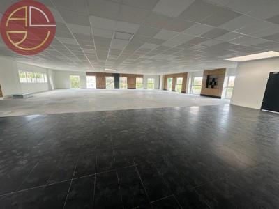 For rent Colomiers 300 m2 Haute garonne (31770) photo 0
