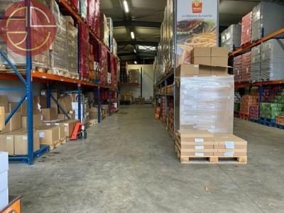 Acheter Commerce 710 m2 Toulouse