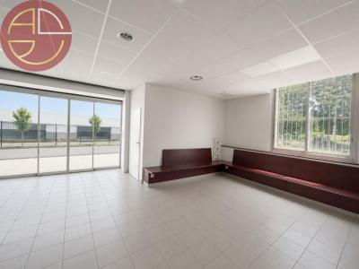For rent Toulouse 14 rooms 300 m2 Haute garonne (31200) photo 2
