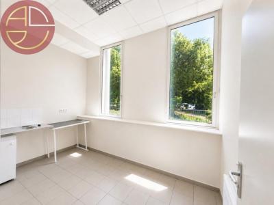 For rent Toulouse 14 rooms 300 m2 Haute garonne (31200) photo 3