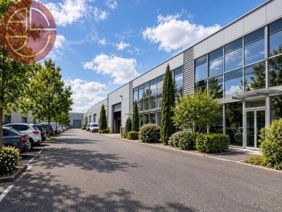 For rent Toulouse 1 room 476 m2 Haute garonne (31200) photo 3