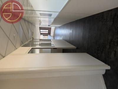 For rent Toulouse 249 m2 Haute garonne (31000) photo 4