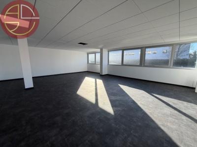 Annonce Location Bureau Blagnac 31