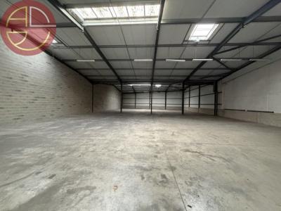 Annonce Location Commerce Fenouillet 31
