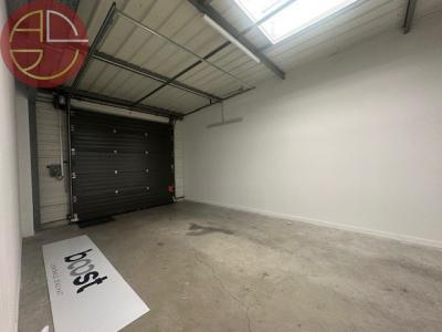 Annonce Location Commerce Montrabe 31
